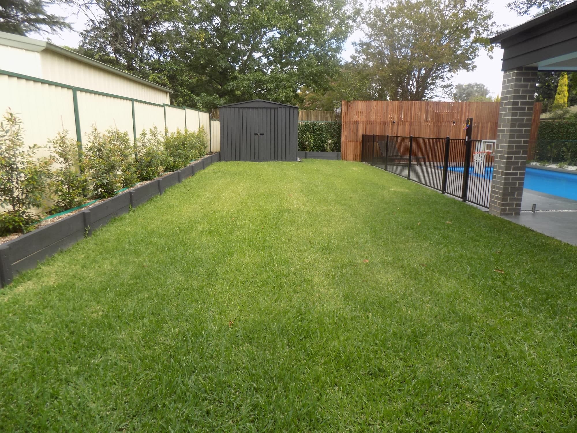 New lawn and a planted screening border beside a pool fence